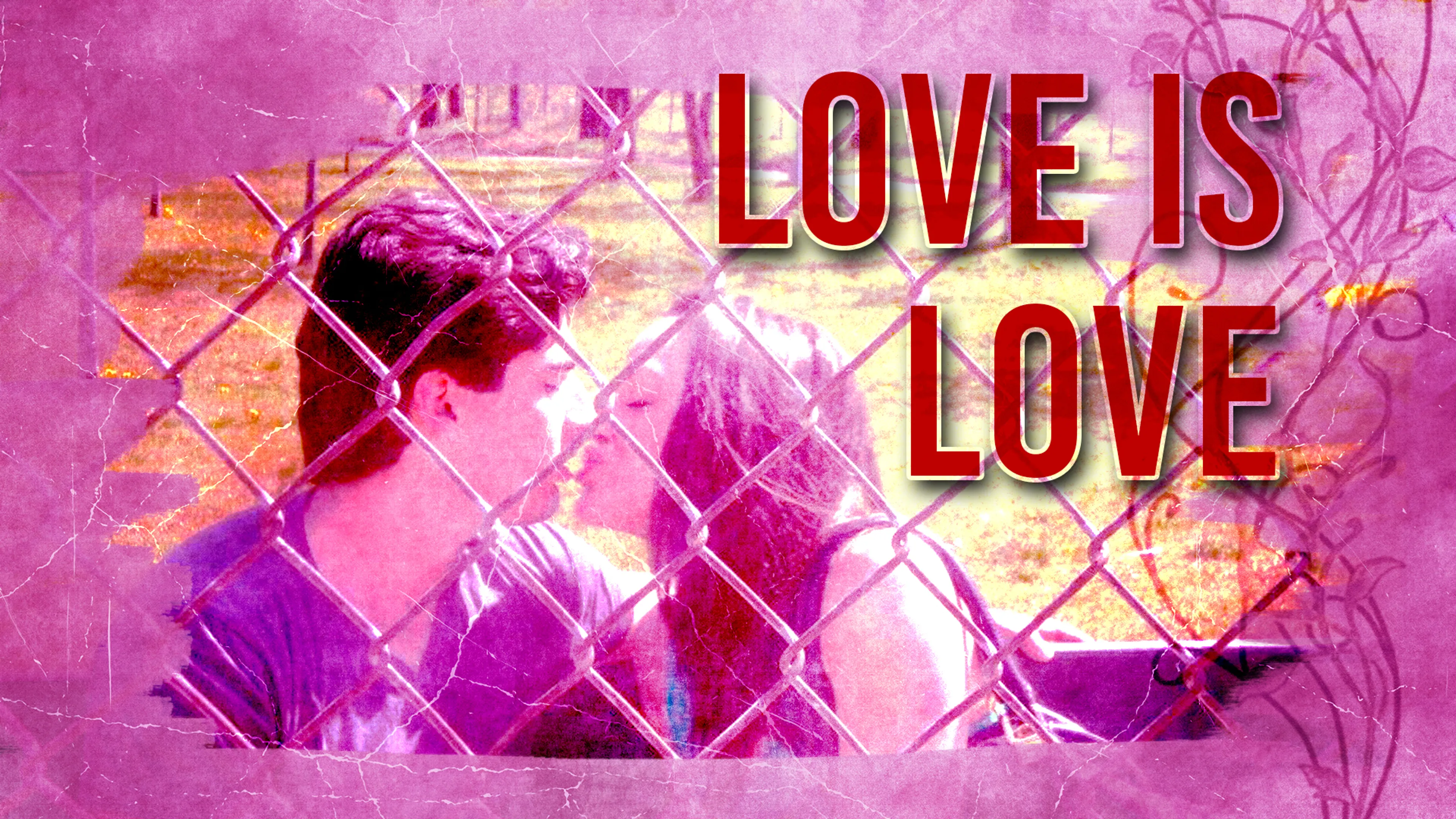 Love Is Love poster